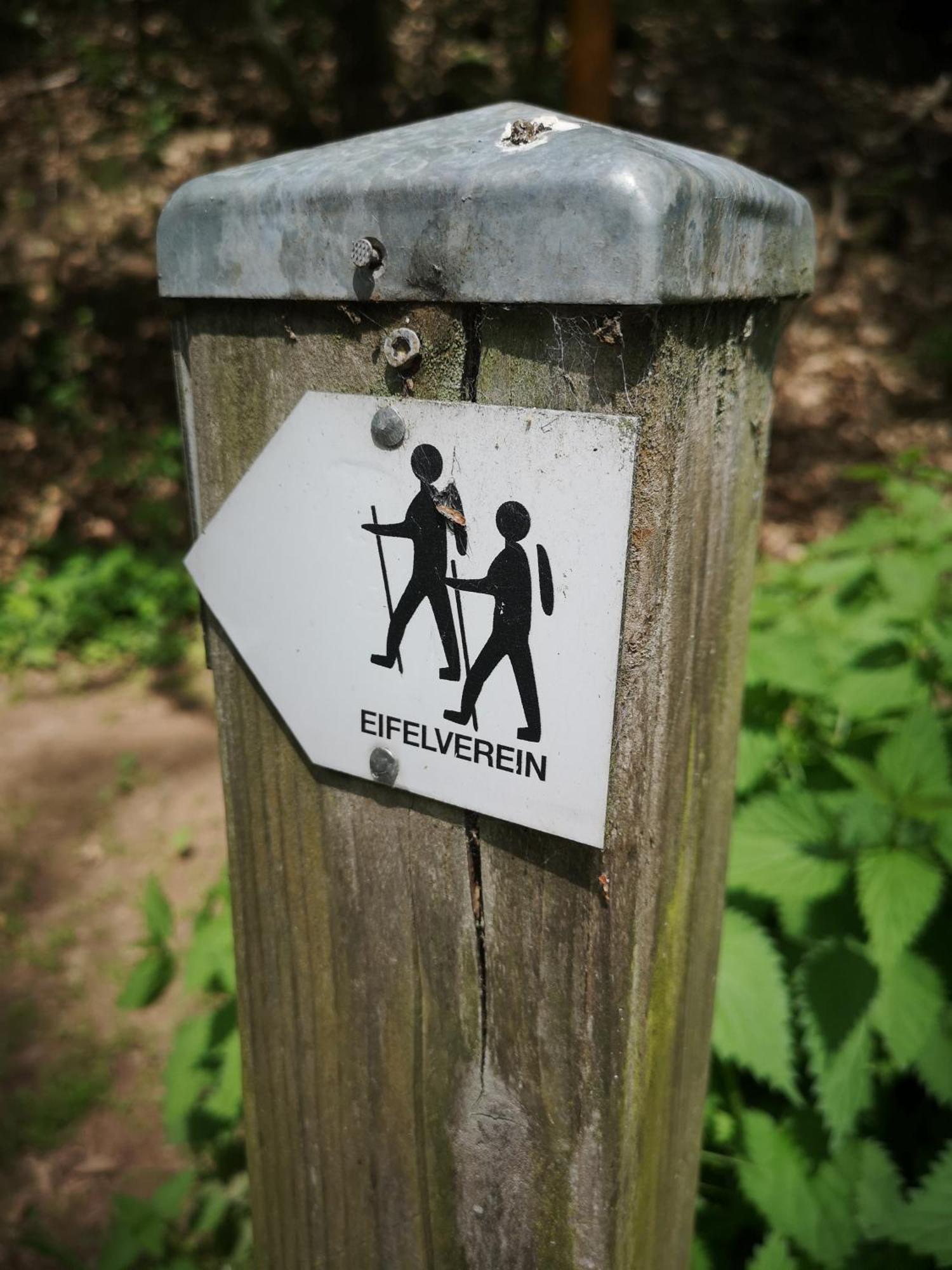Ferienwohnung In Waldrandlage In Nationalpark Schleiden / Eifel Zewnętrze zdjęcie