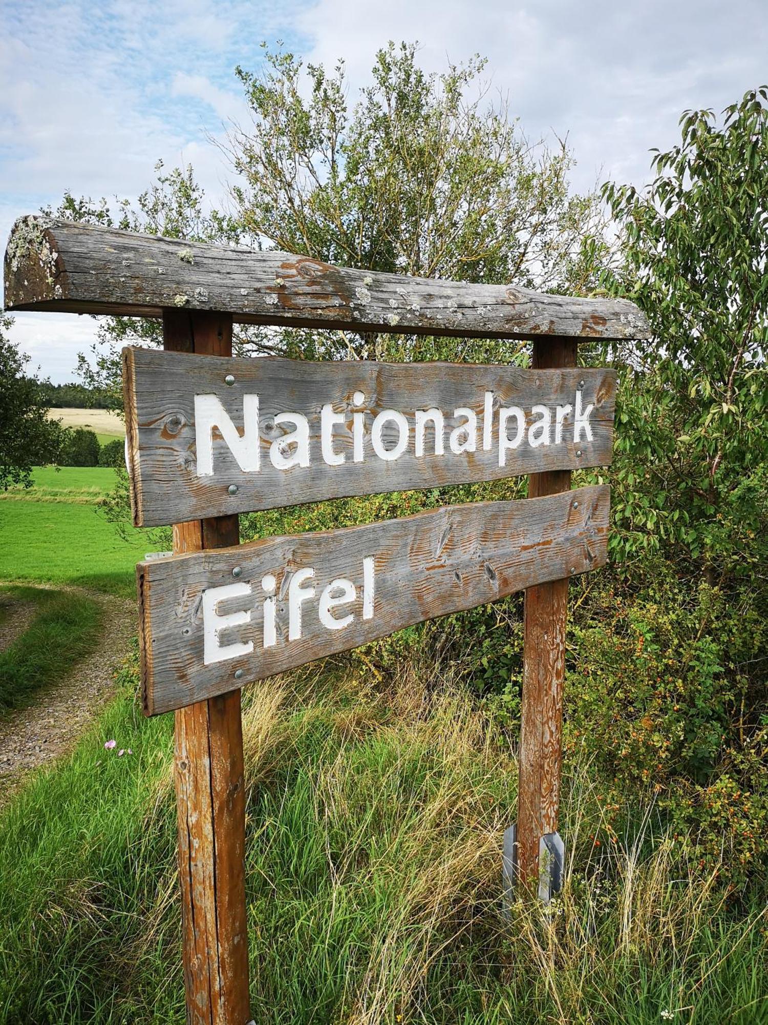 Ferienwohnung In Waldrandlage In Nationalpark Schleiden / Eifel Zewnętrze zdjęcie