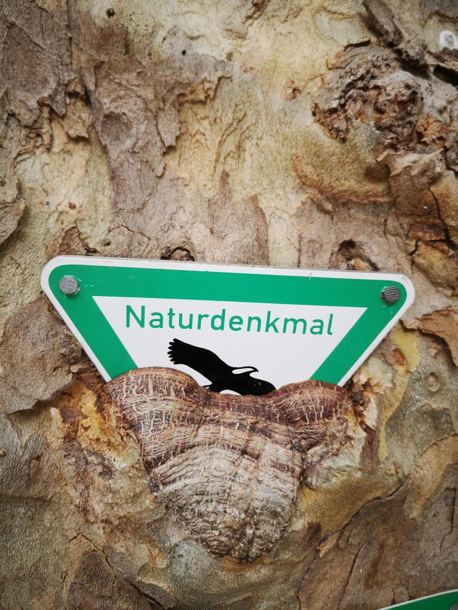 Ferienwohnung In Waldrandlage In Nationalpark Schleiden / Eifel Zewnętrze zdjęcie