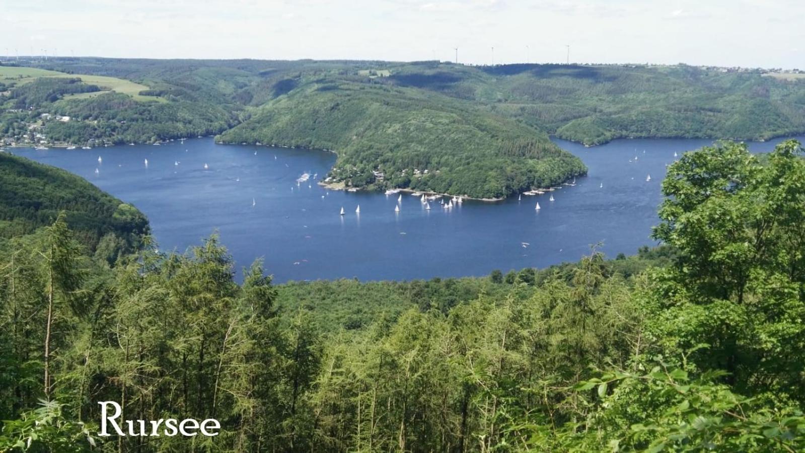 Ferienwohnung In Waldrandlage In Nationalpark Schleiden / Eifel Zewnętrze zdjęcie
