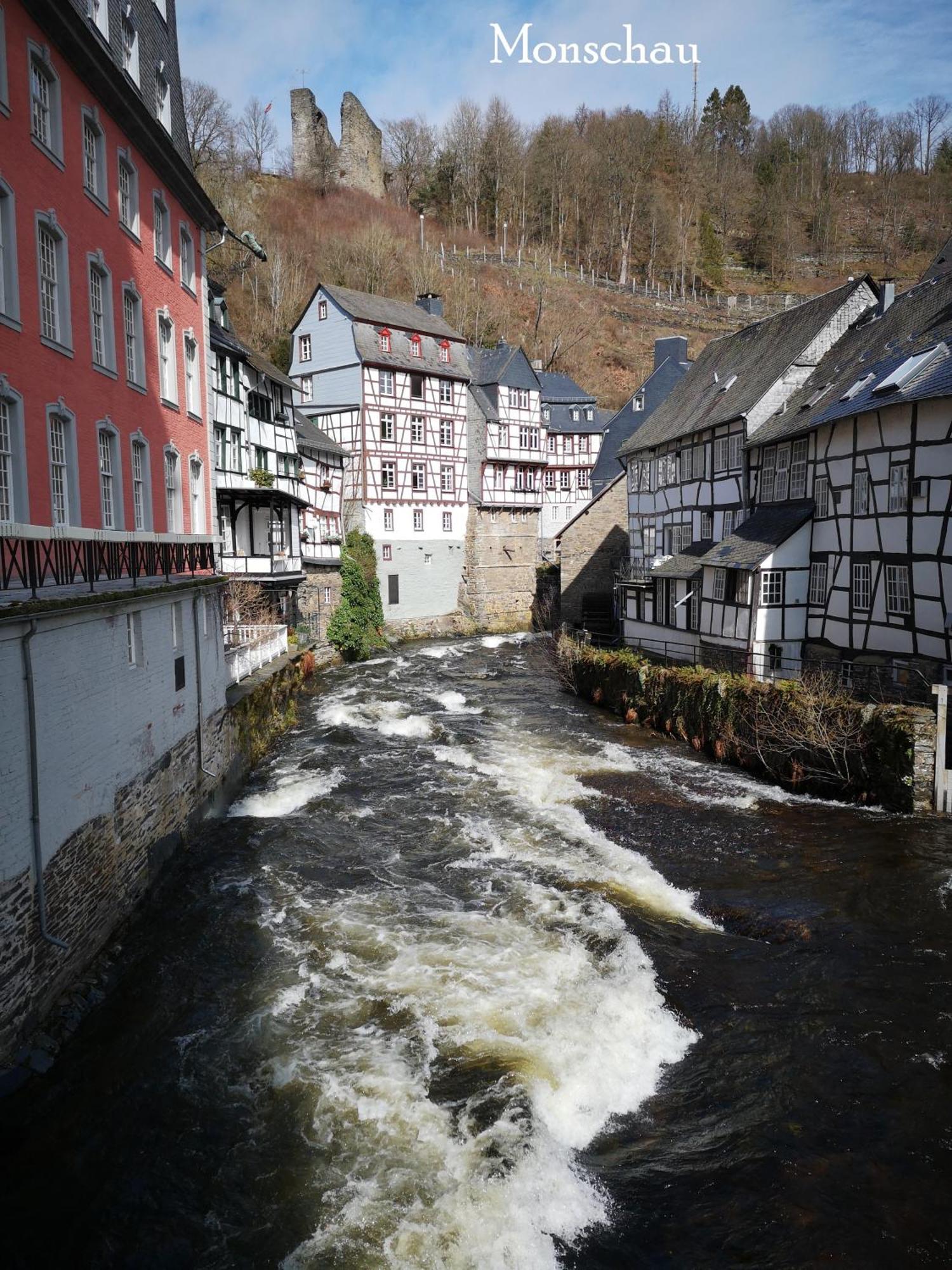 Ferienwohnung In Waldrandlage In Nationalpark Schleiden / Eifel Zewnętrze zdjęcie
