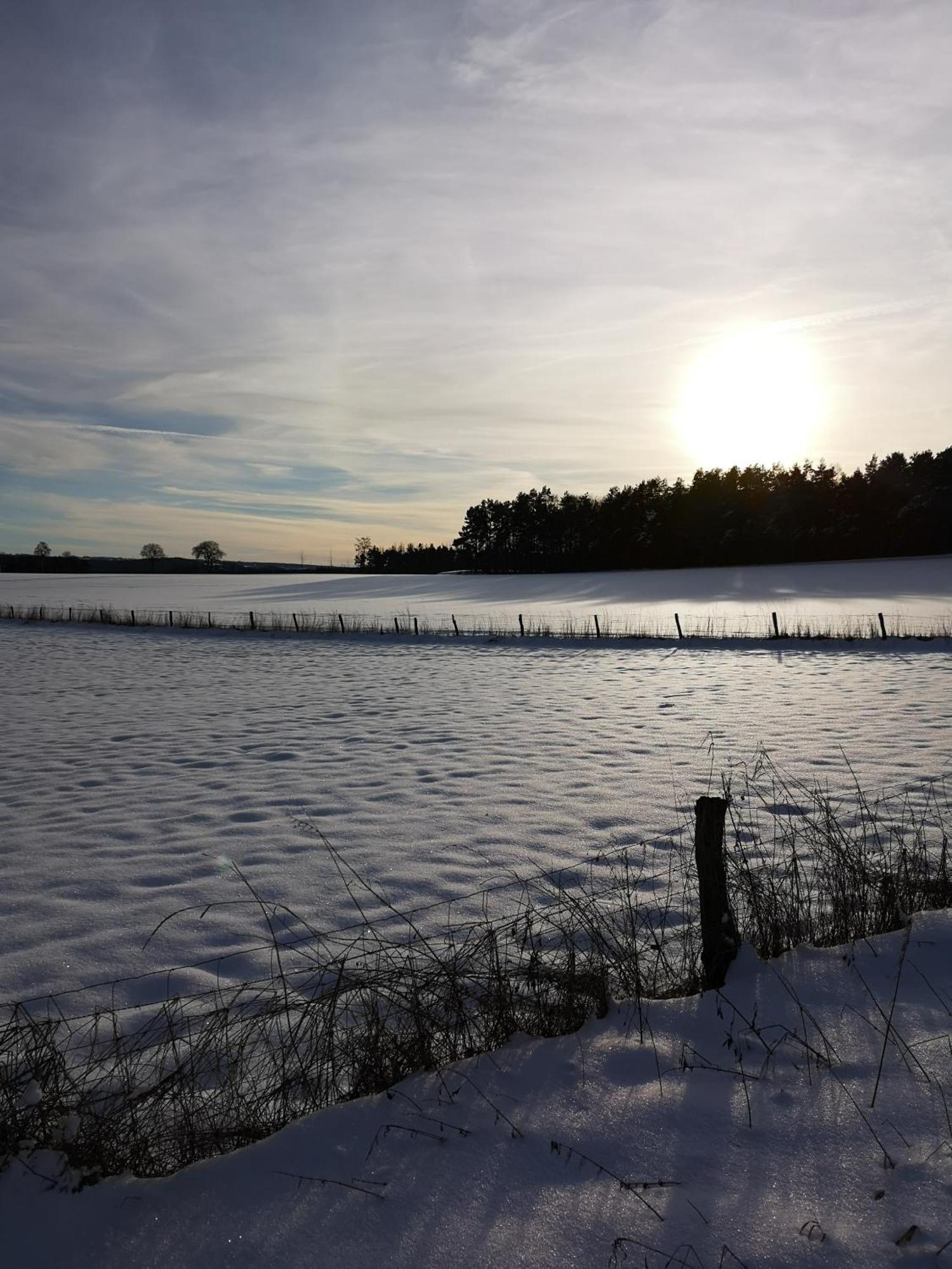 Ferienwohnung In Waldrandlage In Nationalpark Schleiden / Eifel Zewnętrze zdjęcie