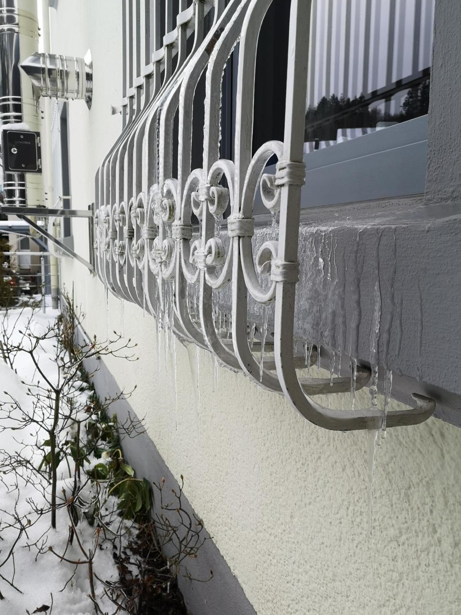 Ferienwohnung In Waldrandlage In Nationalpark Schleiden / Eifel Zewnętrze zdjęcie