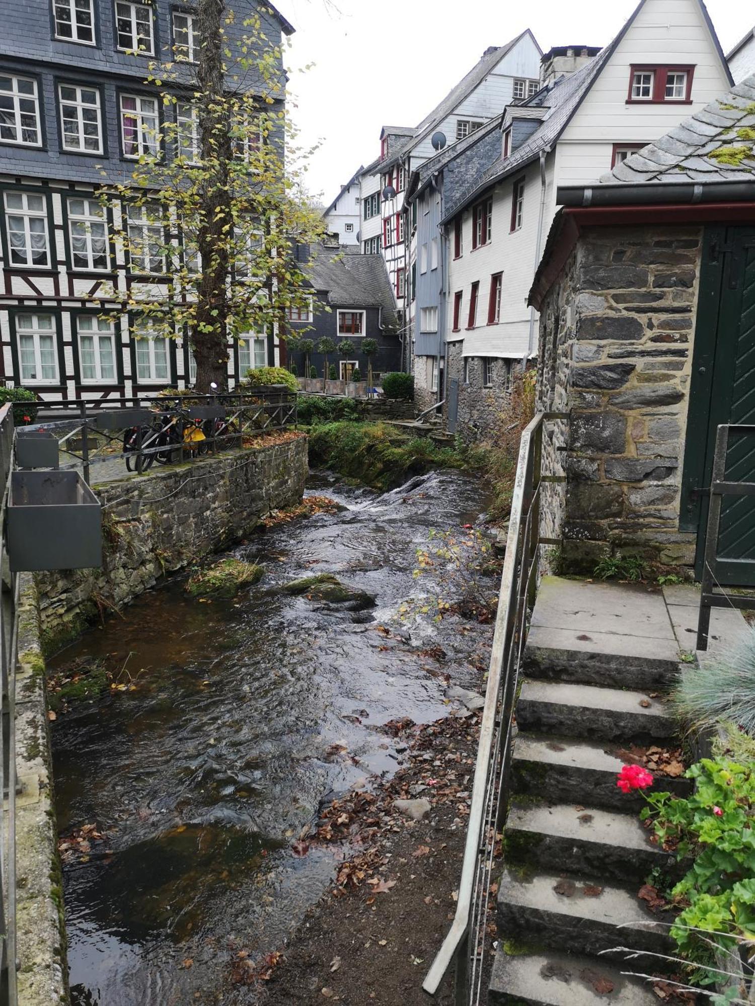 Ferienwohnung In Waldrandlage In Nationalpark Schleiden / Eifel Zewnętrze zdjęcie