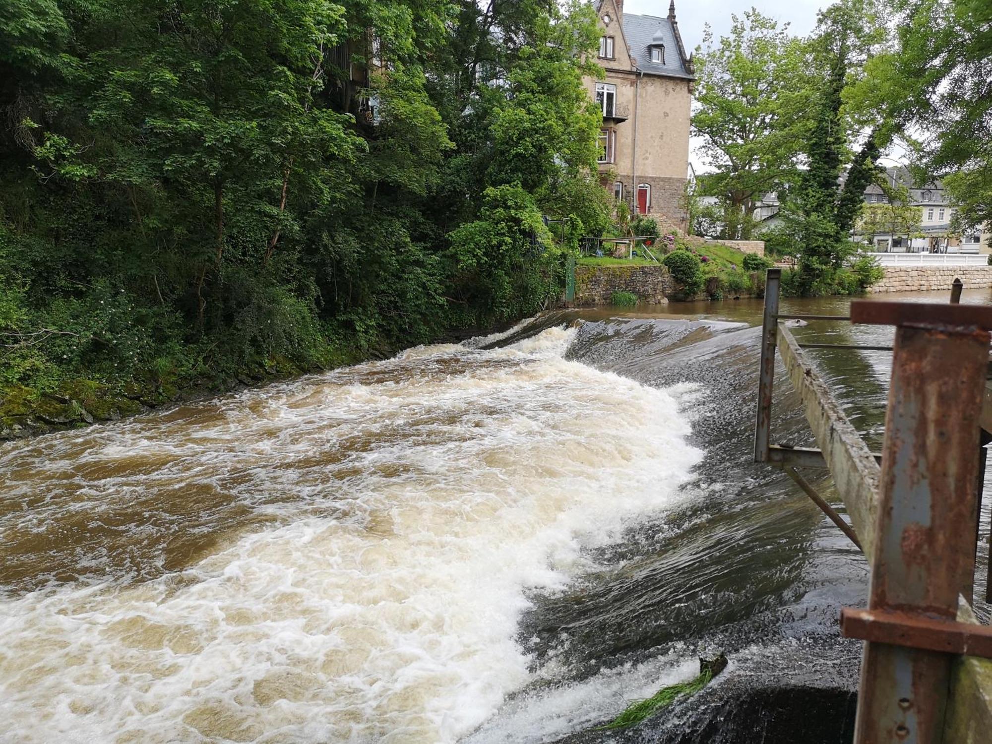 Ferienwohnung In Waldrandlage In Nationalpark Schleiden / Eifel Zewnętrze zdjęcie