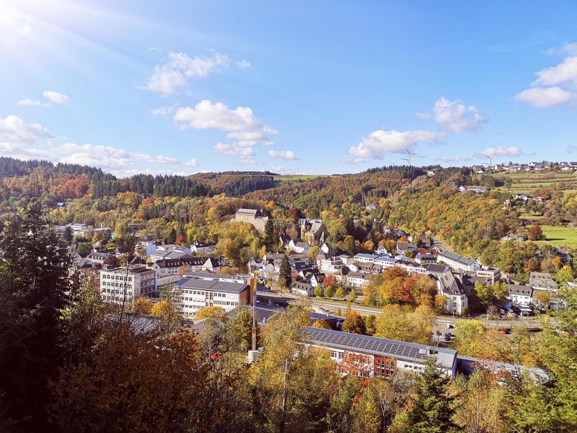 Ferienwohnung In Waldrandlage In Nationalpark Schleiden / Eifel Zewnętrze zdjęcie